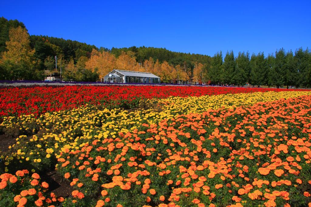 Brick House Furano Lejlighed Eksteriør billede